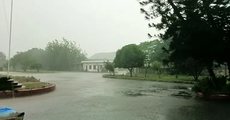 দিনাজপুরে বৃষ্টি